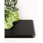 Estantería de pared flotante arqueada de 3 niveles – Metal negro y madera, 45.7x14x76.2 cm