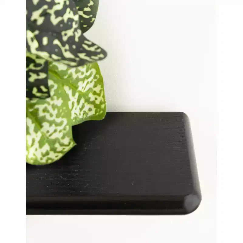 Estantería de pared flotante arqueada de 3 niveles – Metal negro y madera, 45.7x14x76.2 cm