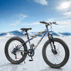 NAYSAYE Bicicleta de montaña con neumáticos anchos de 24 pulgadas, cambio de 7 velocidades y doble freno de disco para adultos y jóvenes, gris, 67*25*40
