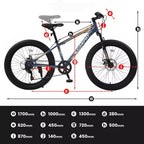 NAYSAYE Bicicleta de montaña con neumáticos anchos de 24 pulgadas, cambio de 7 velocidades y doble freno de disco para adultos y jóvenes, gris, 67*25*40