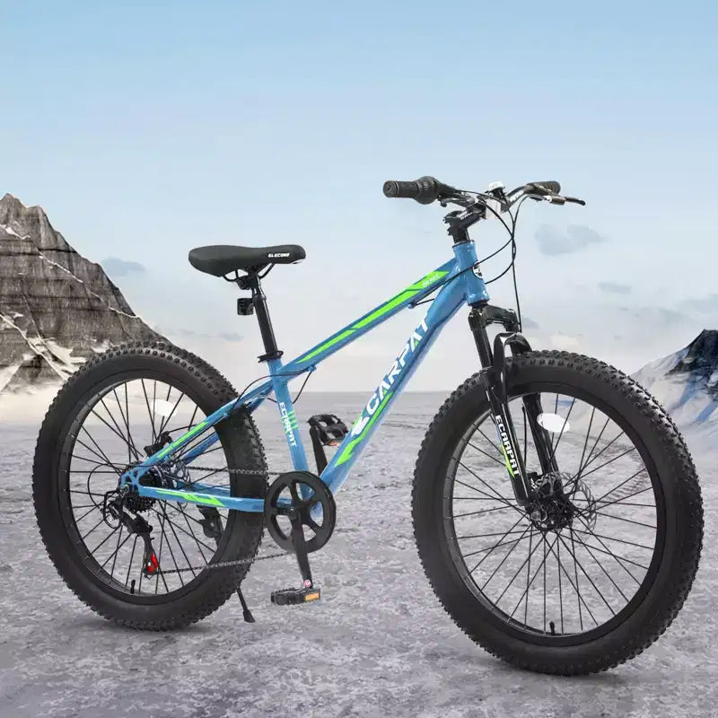 Bicicleta de montaña NAYSAYE de 24 pulgadas con neumático grueso, cambio de 7 velocidades y doble freno de disco para adultos y jóvenes, azul y verde, 67*25*40