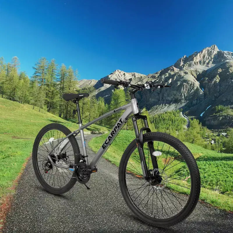 Bicicleta de montaña NAYSAYE de 27 pulgadas y 21 velocidades con horquilla de suspensión y frenos de disco para hombres y mujeres, gris, 70*27*39.5