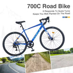 Bicicleta de Carretera Whisen 28, Bicicleta para Exteriores de Adultos con 7 Velocidades, Cuadro de Aleación de Aluminio para Hombres y Mujeres