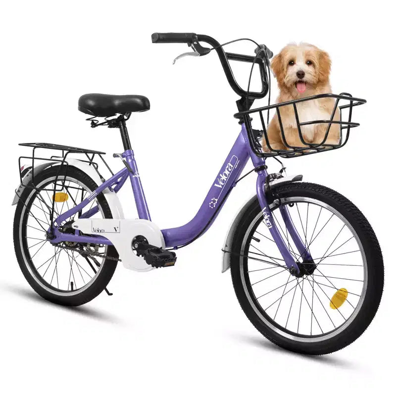 Bicicleta infantil Okak de 20 pulgadas con cuadro de acero ligero, bicicletas de crucero para niños con freno de contrapedal y freno en V, minibicicleta con protector de cadena y portaequipajes trasero