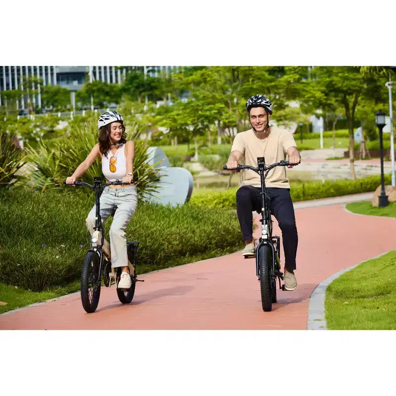 Bicicleta eléctrica plegable GoPowerBike GoVolt | Caja abierta