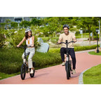 Bicicleta eléctrica plegable GoPowerBike GoVolt | Caja abierta