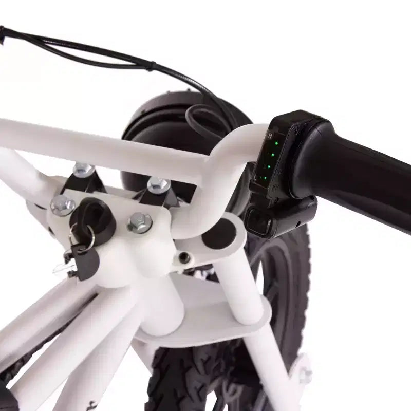 Bicicleta Eléctrica Mini de Paso Bajo Droyd Kids' Weeler 14