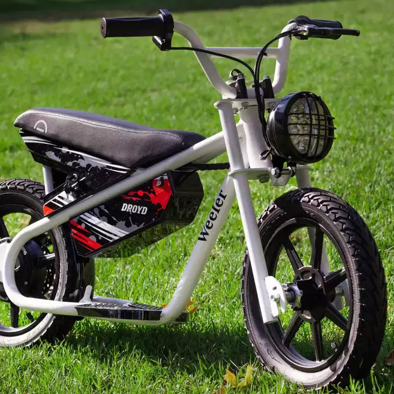 Bicicleta Eléctrica Mini de Paso Bajo Droyd Kids' Weeler 14