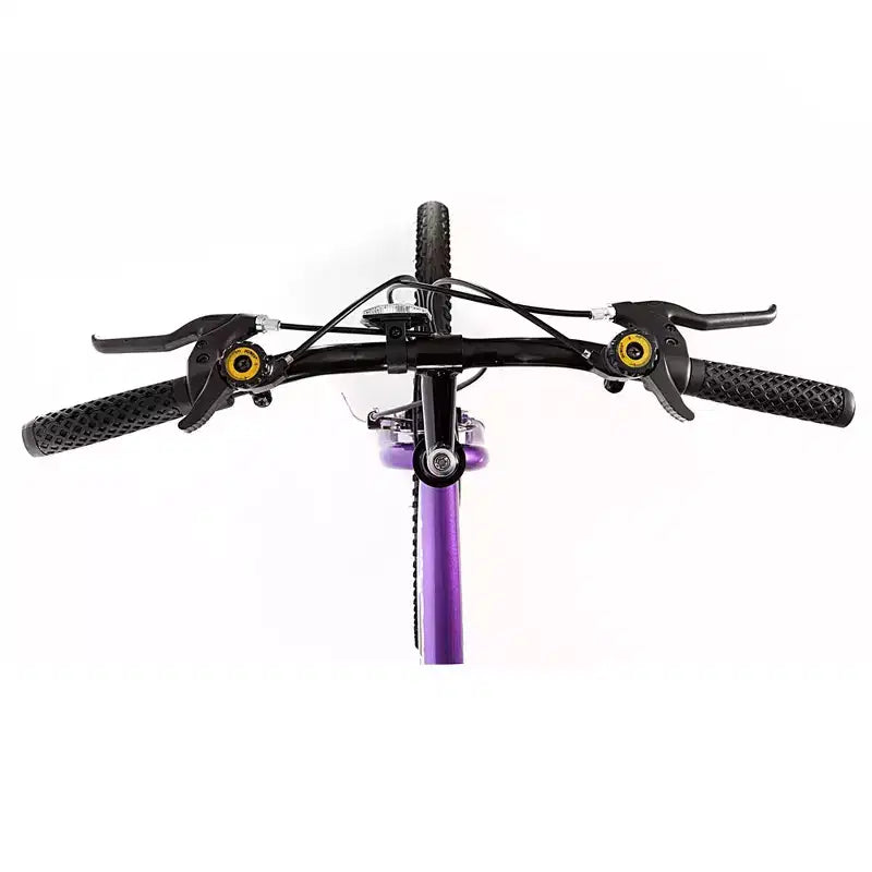Bicicleta de montaña para mujer Titan Bikes Wildcat de 12 velocidades, morado/negro